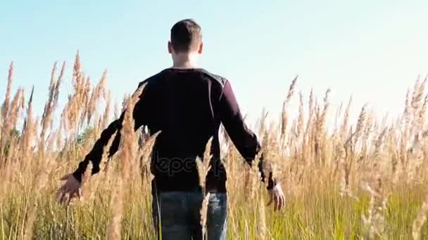 Молодий чоловік ходить і піднімає руки в полі — стокове відео