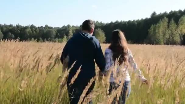 Paar wandelen in een veld en hand in hand bij zonsondergang. Gefilmd in slow motion. — Stockvideo