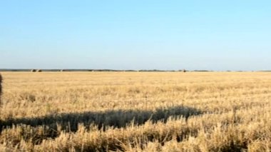 Cirrus bulutlar ile mavi gökyüzü altında saman balya anız alanıyla