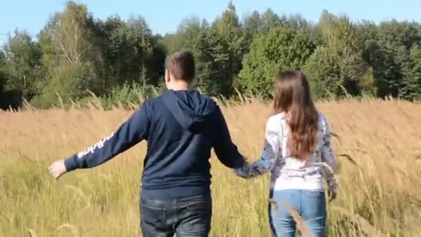 Paar wandelen in een veld en hand in hand bij zonsondergang. Gefilmd in slow motion. — Stockvideo