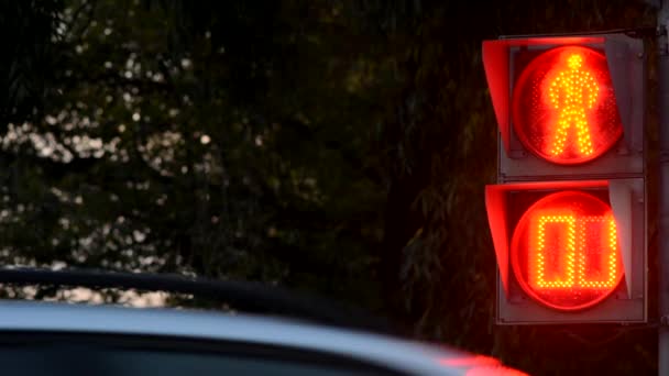 Draaien van groen naar rood stoplicht — Stockvideo