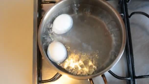 Білі яйця кип'ятять у воді — стокове відео