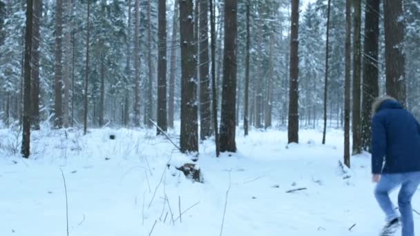 男人在树林里的树桩上扔雪球 从树桩上跳下来 — 图库视频影像