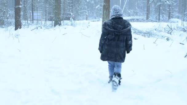 Chica divertida juguetona tonteando en la nieve y pasea por el bosque. Caída de nieve . — Vídeo de stock