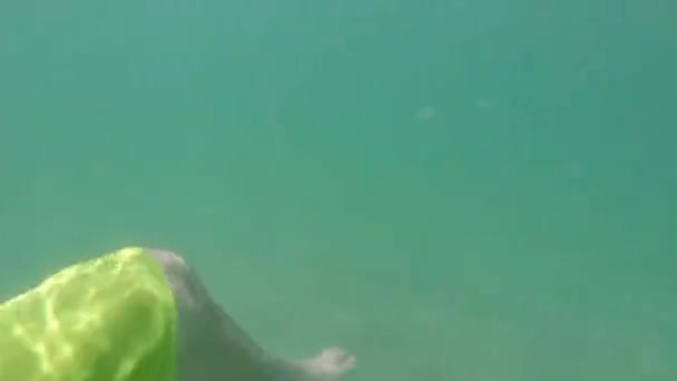 Detailní Záběr Nohou Plovoucí Oceánu Člověka Relaxační Jasně Modré Tropické — Stock video
