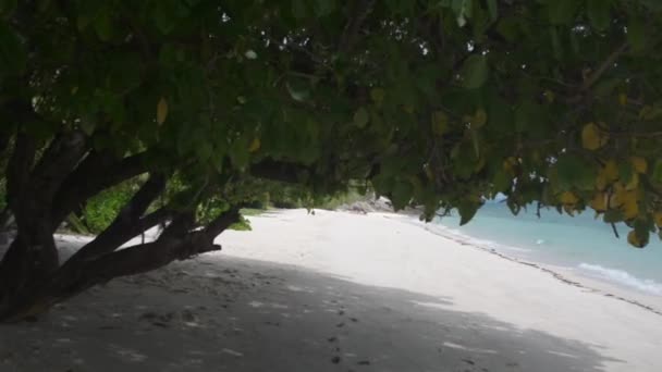 Paisagem Ilha Deserto Bon Tailândia — Vídeo de Stock