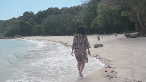 Menina Vai Uma Praia Vazia — Vídeo de Stock