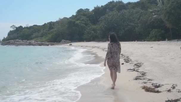 Chica Una Playa Vacía — Vídeo de stock