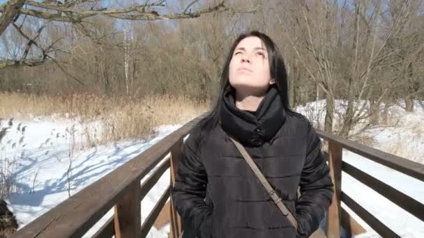 Close Retrato Elegante Jovem Mulher Bonita Parque Inverno Sobre Fundo — Vídeo de Stock