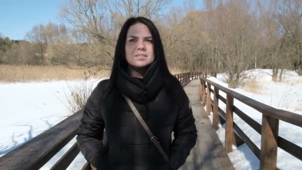 Nahaufnahme Porträt Einer Stilvollen Jungen Schönen Frau Einem Winterpark Vor — Stockvideo