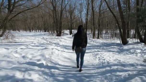 Une Adolescente Promenade Hiver Nature — Video