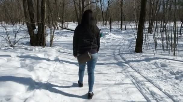 Adolescente Passeggiata Nella Natura Invernale — Video Stock