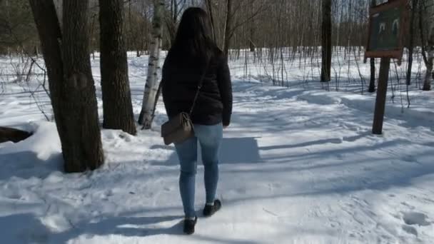 Kış Doğada Bir Yolda Bir Genç — Stok video