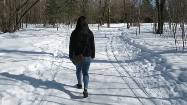 Подросток Прогулке Зимней Природе — стоковое видео
