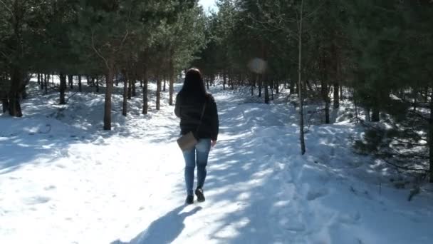 Une Adolescente Promenade Hiver Nature — Video