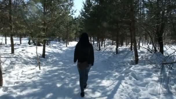 Tonåring Promenad Vinter Natur — Stockvideo