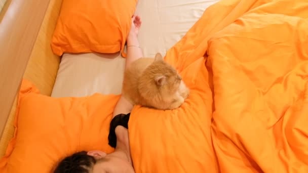 Een Meisje Slaapt Met Een Kat Het Bed — Stockvideo