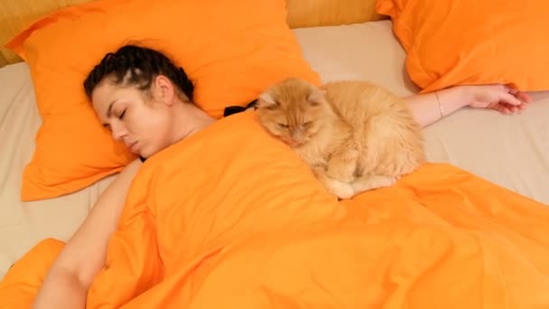 Uma Rapariga Está Dormir Com Gato Cama — Vídeo de Stock