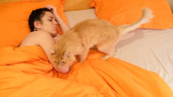 Дівчина Спить Кішкою Ліжку Кілометровий — стокове відео