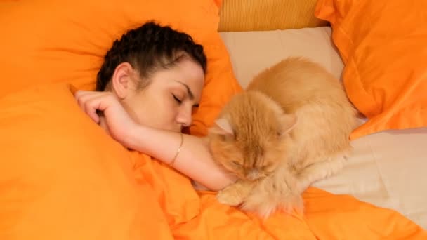 Una Chica Está Durmiendo Con Gato Cama — Vídeos de Stock