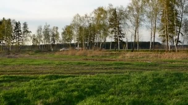 Joven controlando dron en el campo al atardecer . — Vídeo de stock