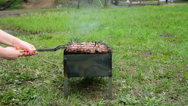 Гриль мясо барбекю на древесном угле. приготовить аппетитный шашлык на металлических шашлыках. Вкусные кусочки мяса с корочкой. Жареная еда. Крупный план — стоковое видео