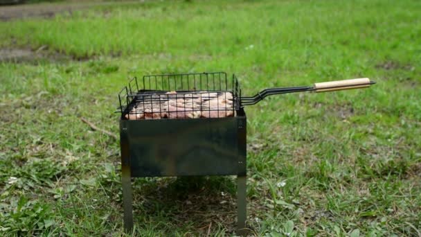 Grillowanie grillowania mięsa na drewno węgiel. Piec apetyczny gorące szaszłyk na szpikulce z metalu. Mięsne kawałki z skorupy. Grillowanie żywności. Zbliżenie — Wideo stockowe