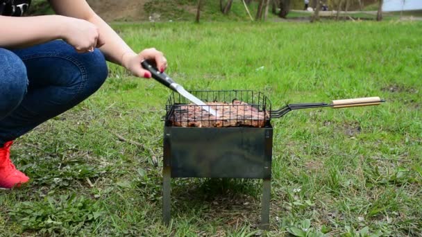 Grillowanie grillowania mięsa na drewno węgiel. Piec apetyczny gorące szaszłyk na szpikulce z metalu. Mięsne kawałki z skorupy. Grillowanie żywności. Zbliżenie — Wideo stockowe