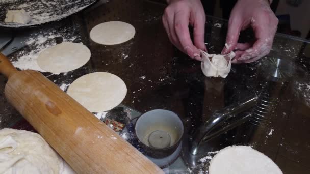 Memasak Pangsit Buatan Sendiri Gadis Gulung Keluar Adonan Untuk Memasak — Stok Video