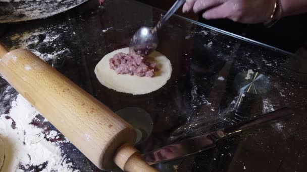 女性はテーブルの上の生地にいくつかの小麦粉を追加 一歩一歩手作り餃子ガイド — ストック動画