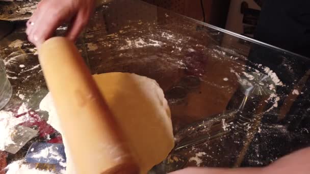 Traditionella Ryska Pelmeni Ravioli Dumplings Med Kött Flicka Skulpterar Ett — Stockvideo