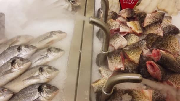 Färsk Fisk Kyls Ned Snabbköpsdisken Färsk Fisk Disken Livsmedelsmarknaden — Stockvideo