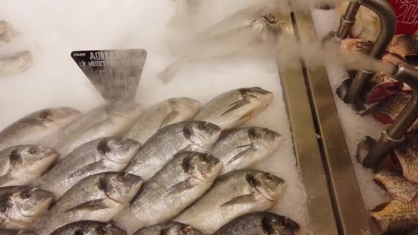 Peixe Fresco Resfriado Balcão Supermercado Peixe Cru Fresco Balcão Mercado — Vídeo de Stock