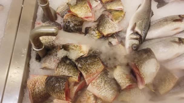 Peixe Fresco Resfriado Balcão Supermercado Peixe Cru Fresco Balcão Mercado — Vídeo de Stock