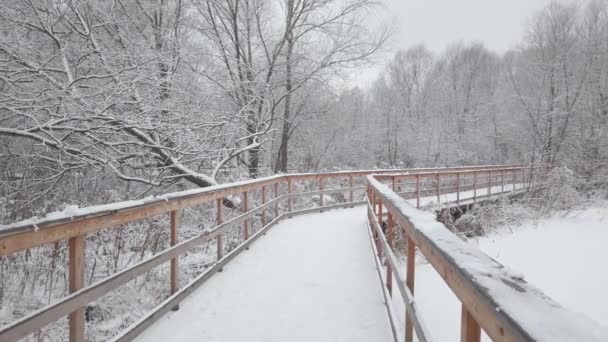 Zimowy Dzień Parku Było Dużo Białego Śniegu Wolny Ruch Drewnianym — Wideo stockowe