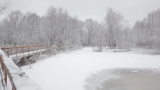公园里有许多新鲜的白雪 公园里一座木桥上的缓慢交通 — 图库视频影像