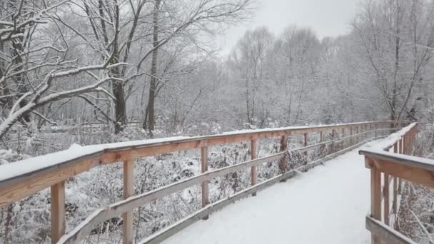 Día Invierno Había Mucha Nieve Blanca Fresca Parque Tráfico Lento — Vídeo de stock