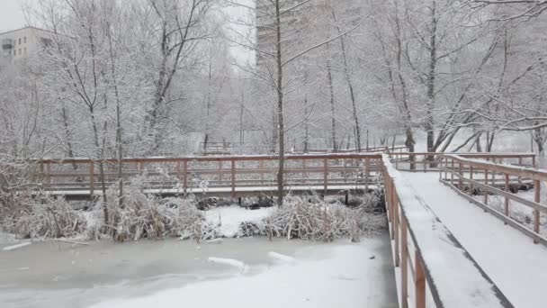 Día Invierno Había Mucha Nieve Blanca Fresca Parque Tráfico Lento — Vídeo de stock