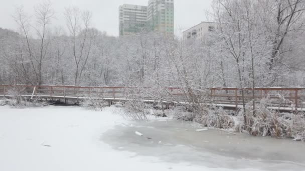 公园里有许多新鲜的白雪 公园里一座木桥上的缓慢交通 — 图库视频影像