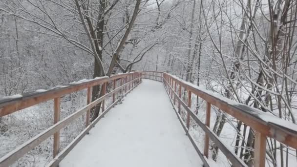 Zimowy Dzień Parku Było Dużo Białego Śniegu Wolny Ruch Drewnianym — Wideo stockowe