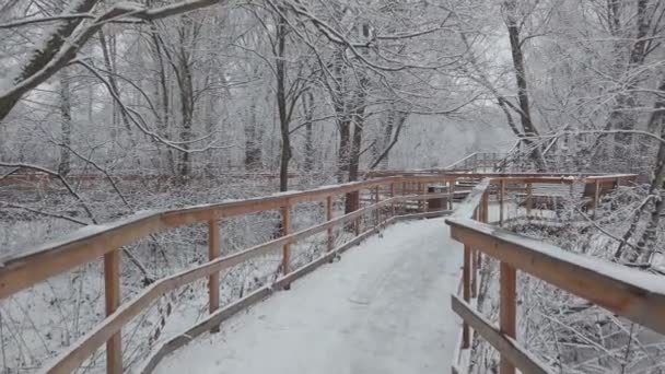 Την Χειμωνιάτικη Μέρα Υπήρχε Πολύ Φρέσκο Λευκό Χιόνι Στο Πάρκο — Αρχείο Βίντεο