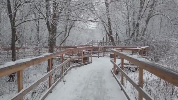 Зимний День Парке Много Свежего Белого Снега Медленное Движение Деревянном — стоковое видео