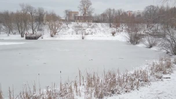 Étang gelé en hiver, beaucoup de neige et tout dans la glace 
