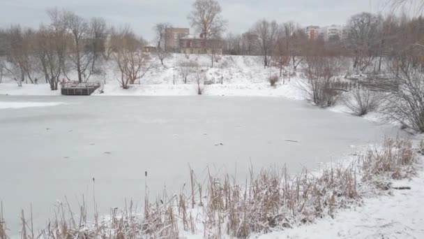 Lago Congelado Inverno Muita Neve Tudo Gelo — Vídeo de Stock