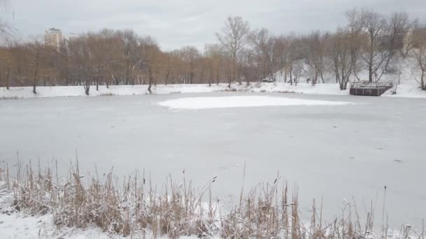 Estanque Congelado Invierno Mucha Nieve Todo Hielo — Vídeos de Stock