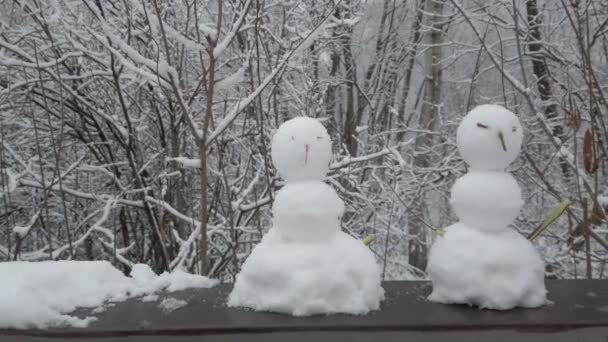 Kinder Bastelten Kleine Schneemänner Park — Stockvideo