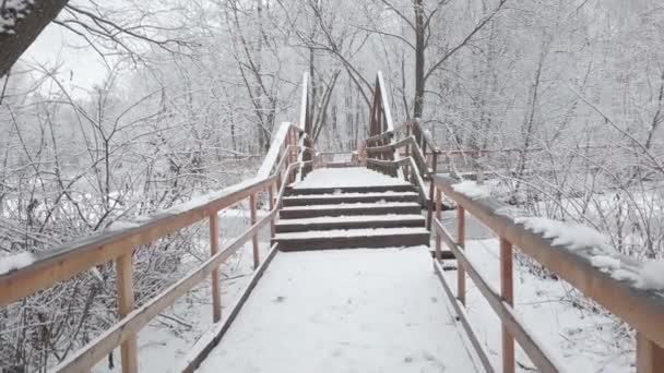 下了很多新雪 摄像机沿着木桥穿过公园的运动 — 图库视频影像
