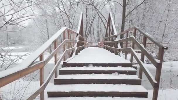 下了很多新雪 摄像机沿着木桥穿过公园的运动 — 图库视频影像