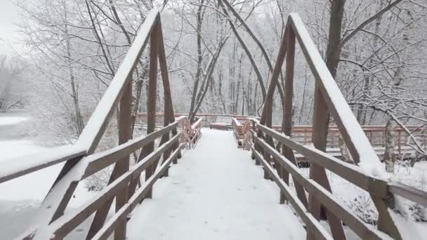 Día Invierno Cayó Mucha Nieve Fresca Movimiento Cámara Largo Del — Vídeo de stock