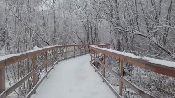 Winter Day Lot Fresh Snow Fell Movement Camera Wooden Bridge — 비디오
